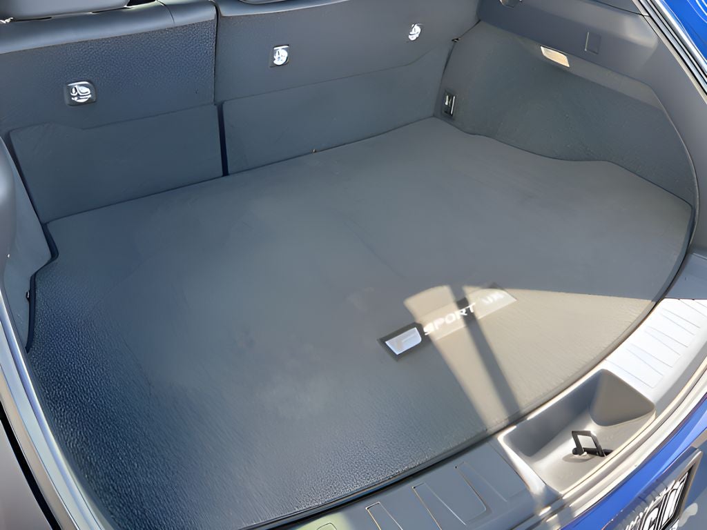 2024 Lexus UX 250h F Sport
