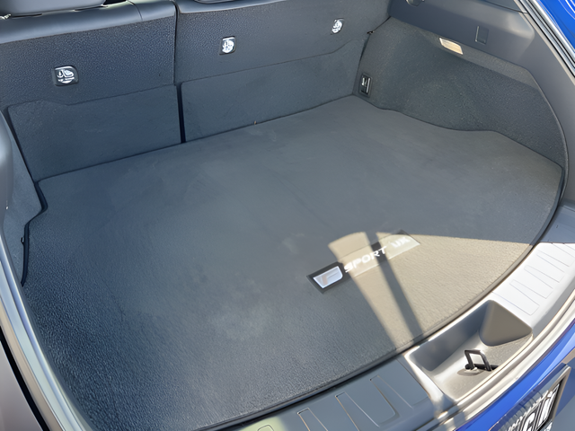 2024 Lexus UX 250h F SPORT Design