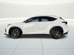 2019 Lexus NX 300 F Sport